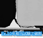 Ex.10年間相当試験で破断